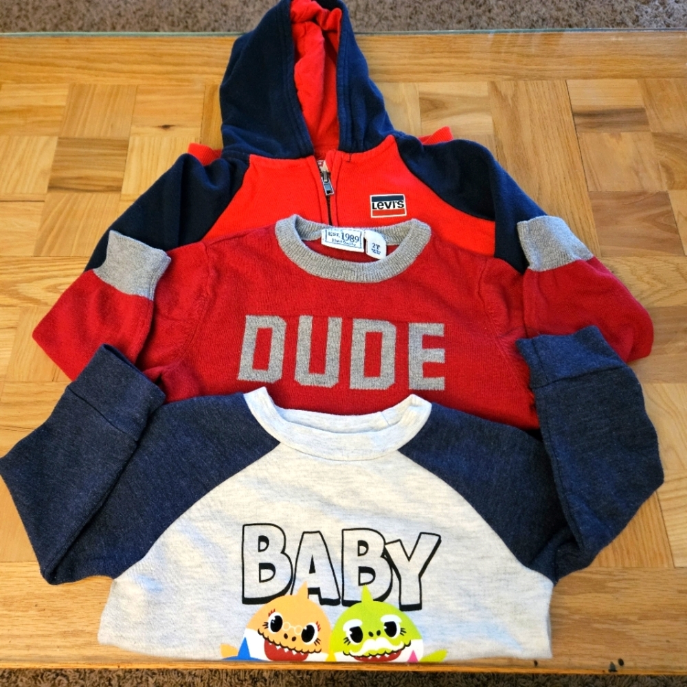 Lot of 3 Boy's Tops - size 2T